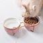 pet bowl mat